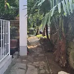 Secret Garden Of Apartment