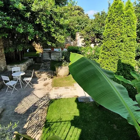 Secret Garden Of Apartma *