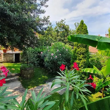 Apartma Secret Garden Of
