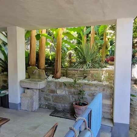 Secret Garden Of Apartamento