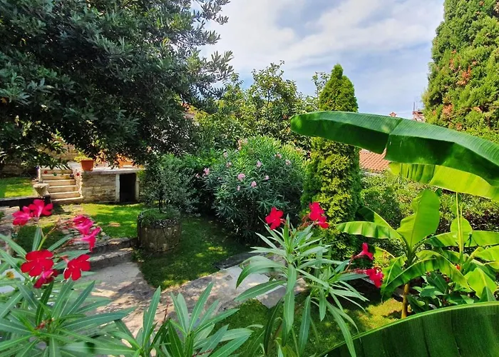 Apartment Secret Garden Of